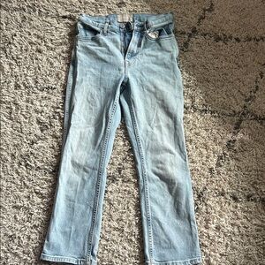 Everlane Women's Sky Blue Skinny Jeans